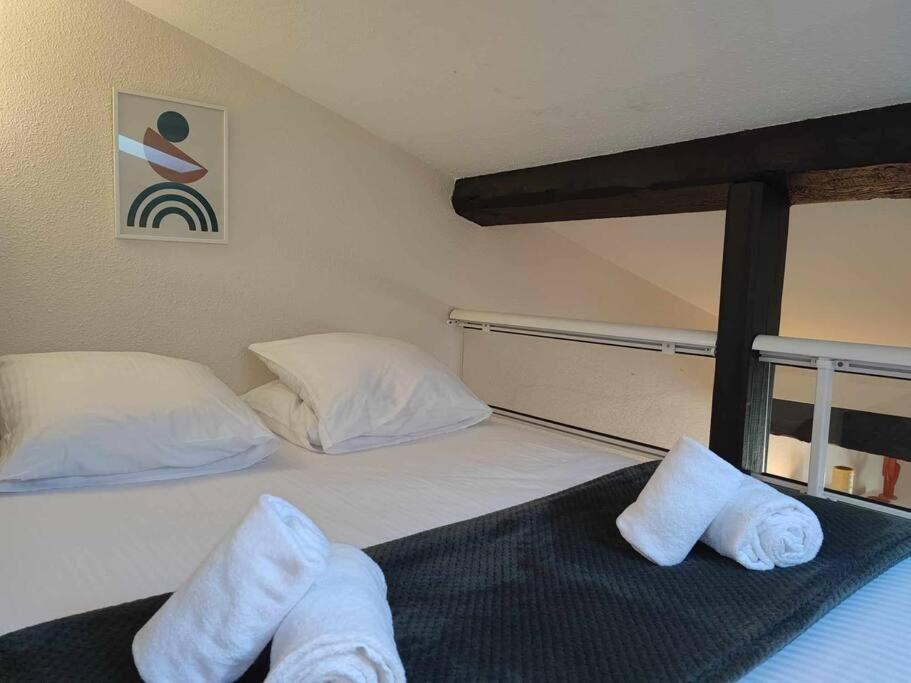 Charme De Victor Conciergeriedamecarcas Apartman Carcassone Kültér fotó